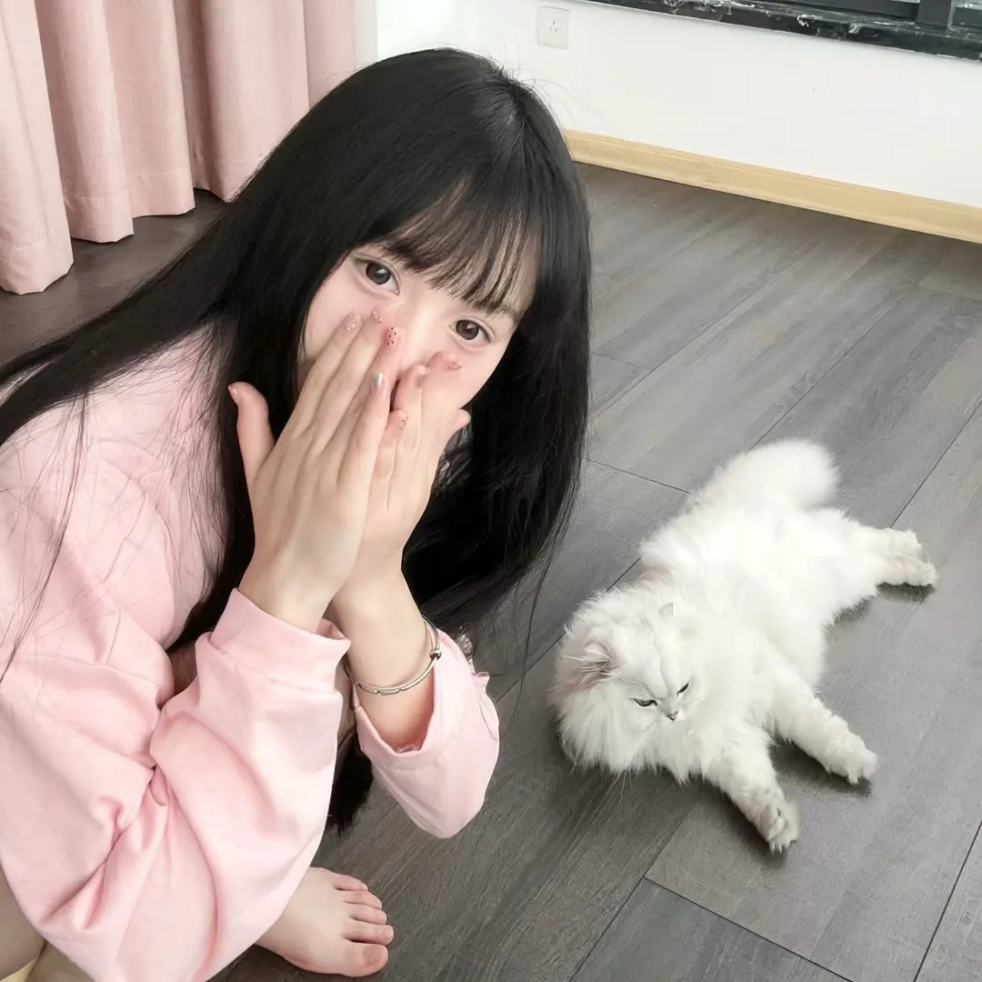 连环杀手夫人封面