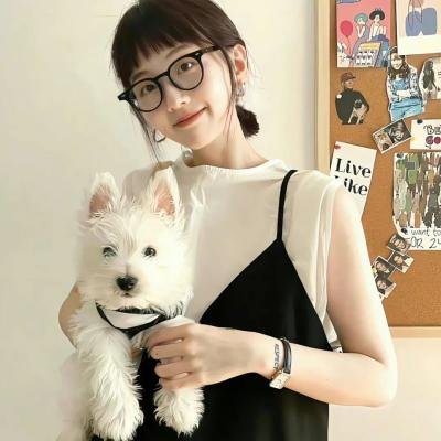 阿尔法：狼伴归途国语封面